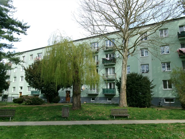 zadní část domu [12/36]