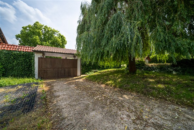 příjezd k domu [16/89]